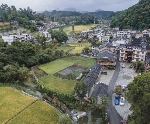 全国布依族人口_布依族人口分布图(2)