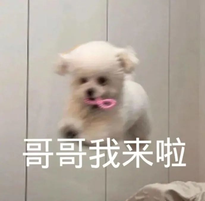 可爱表情包|你真是气死我了
