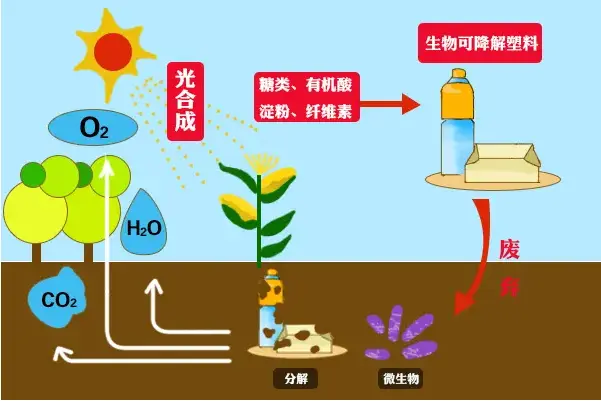 生物降解塑料行业迎来市场风口可降解塑料购物袋如何检测塑料袋是否可