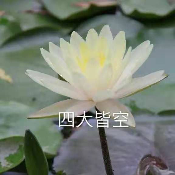 "适合八人宿舍用的群头像"