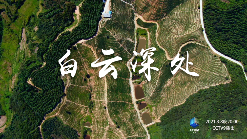 山东省仲山乡东屯村人口_鹄山乡的荷沂村