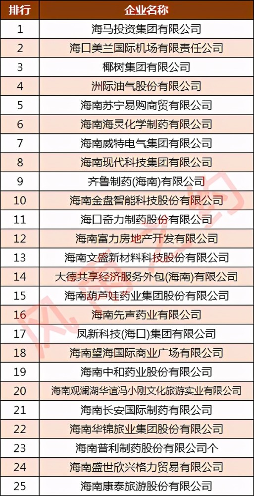 海南公司排名_海南航空公司标志(2)