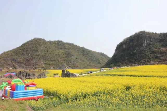 贵州六枝,阳春三月 相约抵簸去油菜花海中徜徉