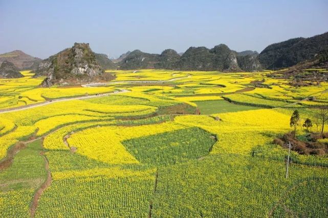 贵州六枝阳春三月相约抵簸去油菜花海中徜徉