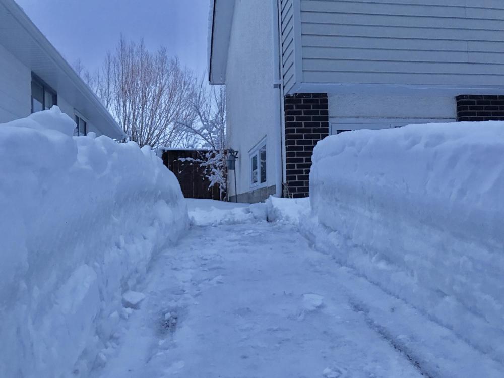 其实德州本身就是属于一个比较热的地方,这一次也是难得出现暴雪,但是