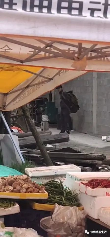 碗厂人口_人口普查