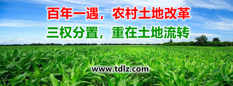 承包方在资源充裕的情况下,将部分或全部土地经营权作价入股,用于农业