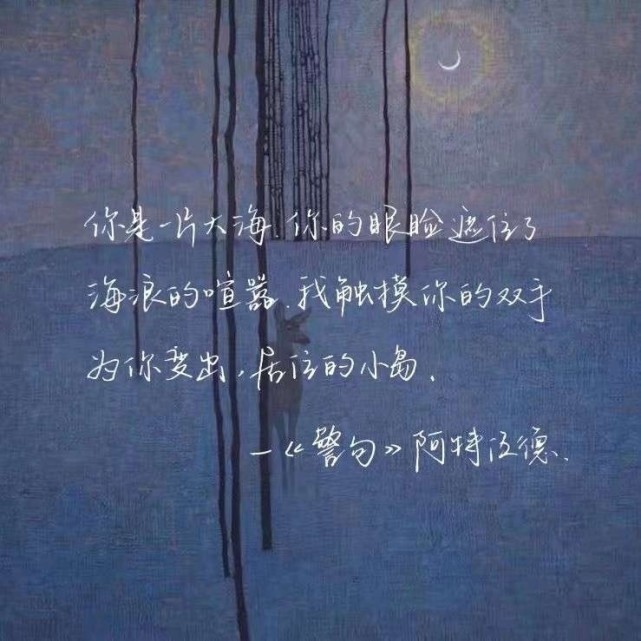 "文案背景丨及时止损,及时行乐.