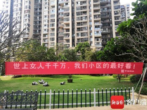 路过这里的我酸了 海口一小区物业给女业主们送上了三八妇女节的祝福