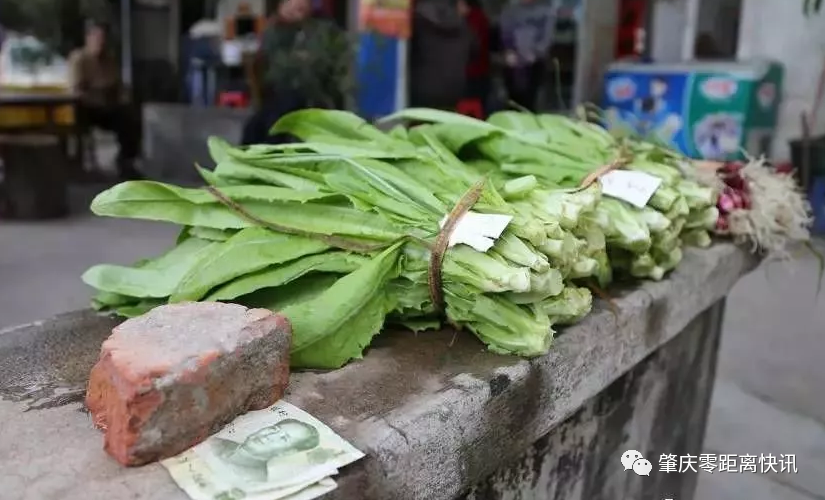 肇庆这些村摆摊卖菜,现场无人看守?全靠自觉投币