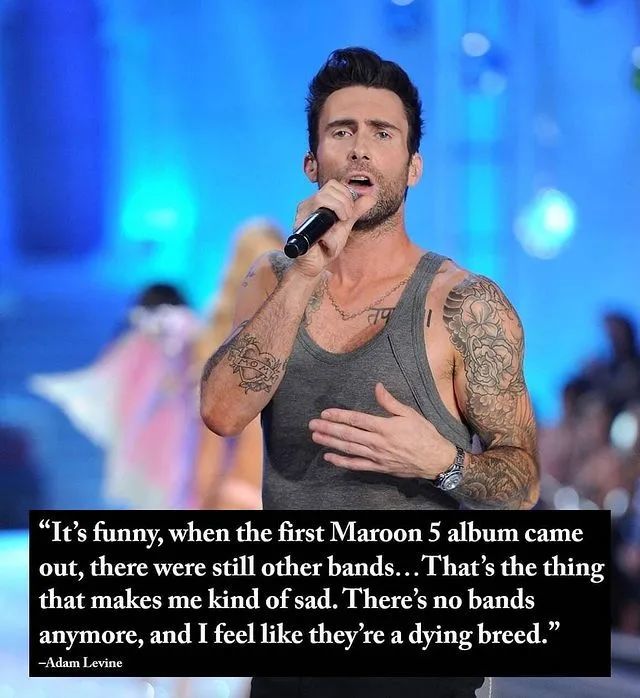 骚当adam levine 卖惨被反噬