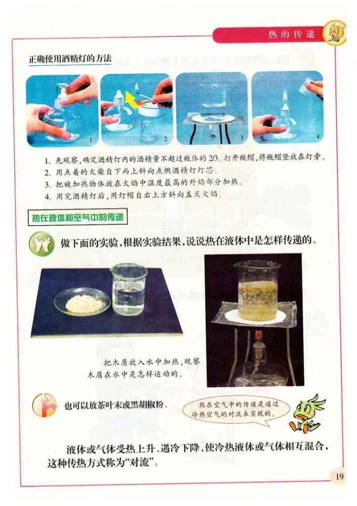 新苏教版科学四年级·上册电子课本