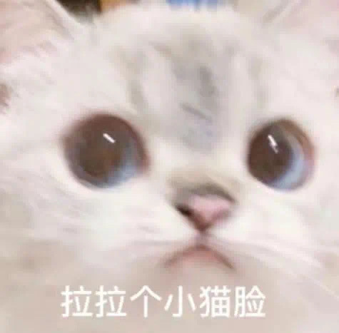 表情包:凶我 你三年硬不起来