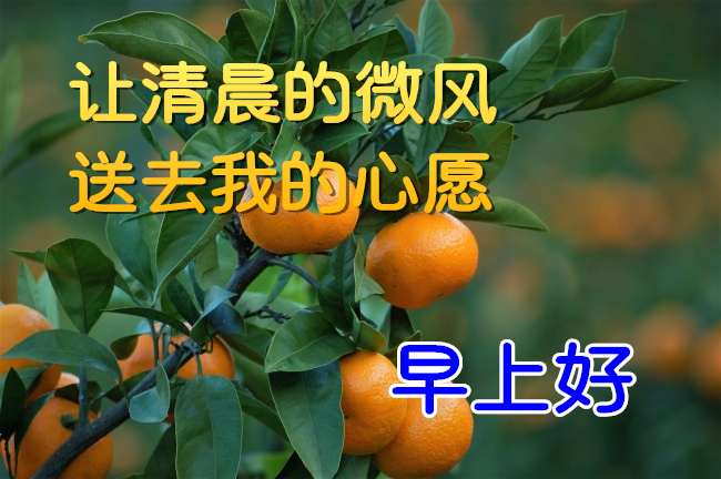2021朋友圈新版早晨好动态图片带字,最漂亮早上好动态