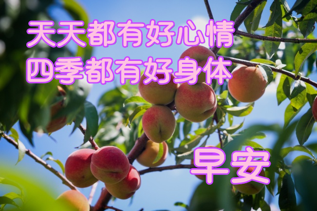 2021朋友圈新版早晨好动态图片带字,最漂亮早上好动态