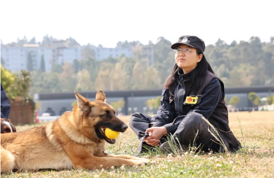 昆明市公安局警犬基地:警花美警犬飒