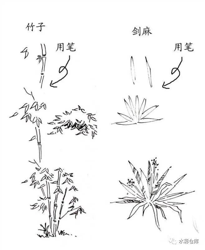 线稿|绘画基础 各类树木 草丛 树叶的画法笔触