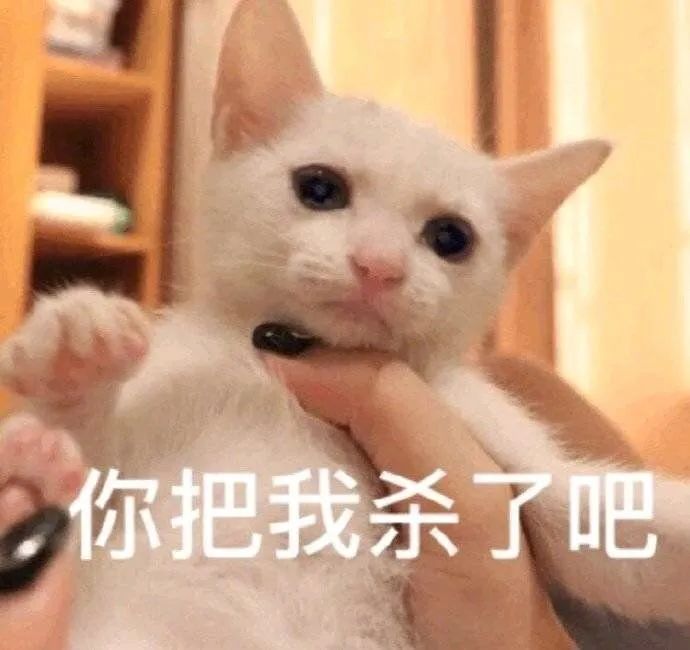 表情包:爱你哦,mua