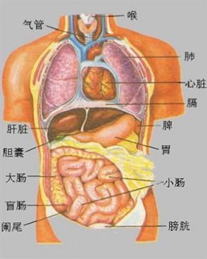 今年春天很需要呵护的地方不是肝也不是肾而是这个部位