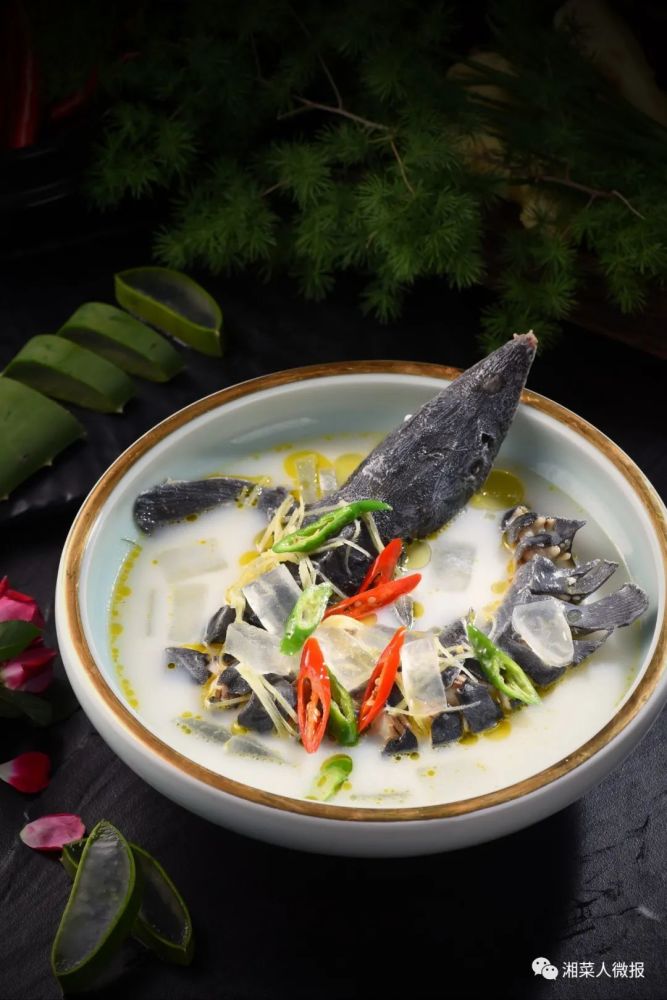 芦荟焖鲟龙鱼丨大鸽饭菜品