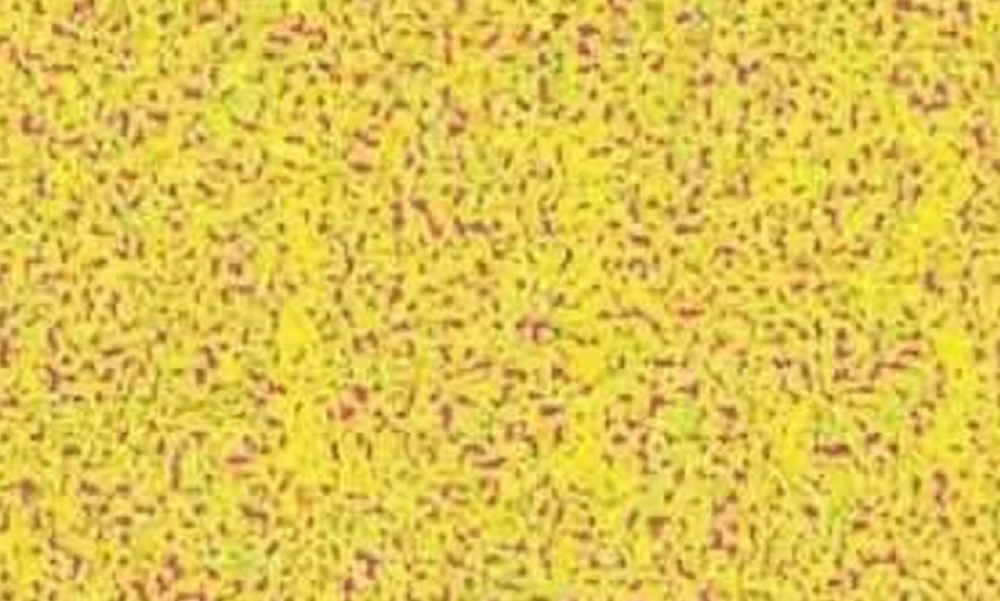 1000