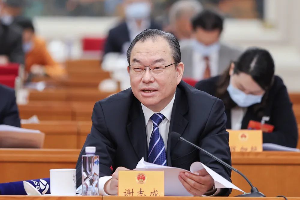全国人大代表江苏省工信厅厅长谢志成从国家层面加快构建以企业为主导