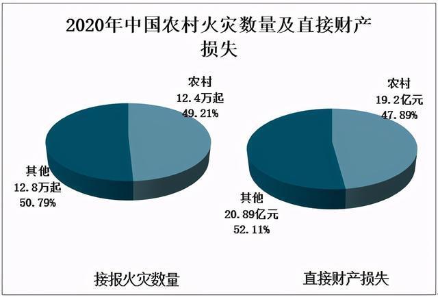 2020年全国死亡人口总数_2020年全国人口统计图