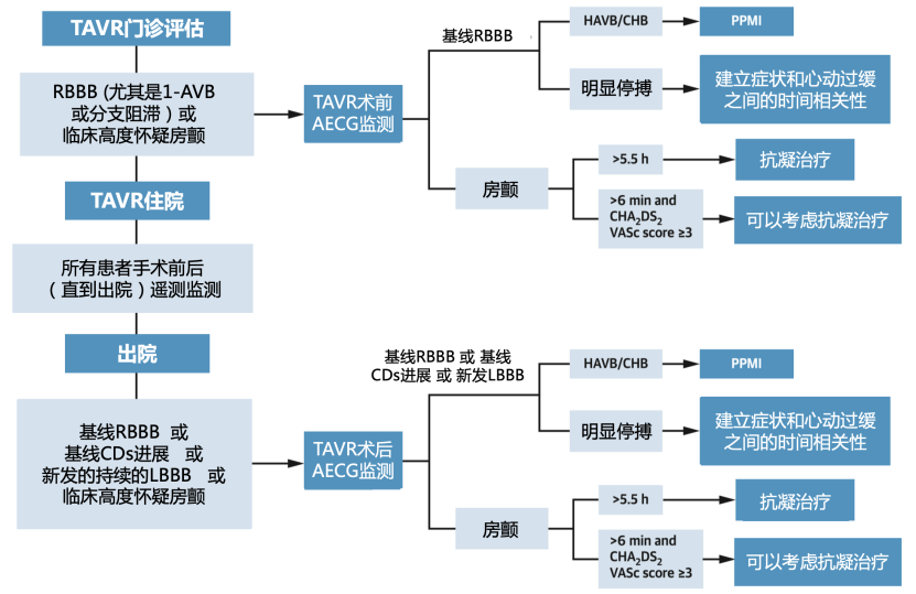 干货tavr患者术前术后需要心电监测吗如何监测