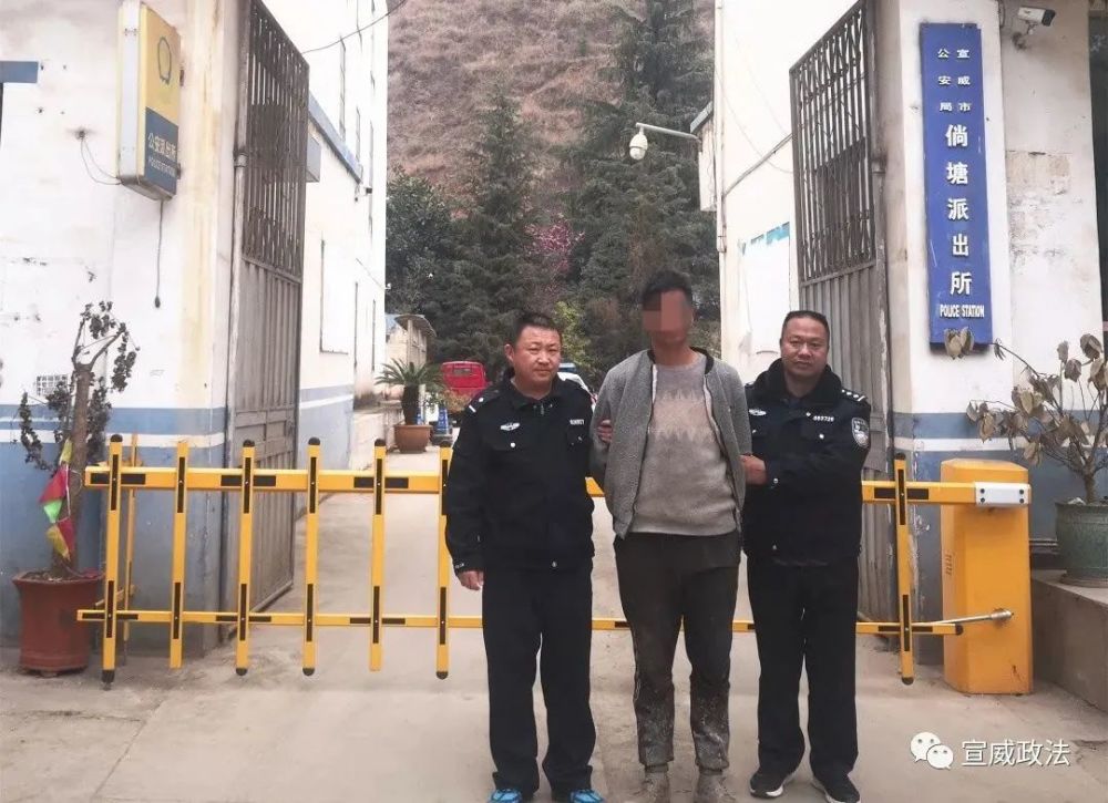 宣威市有多少人口_云南宣威市区有多少人口(3)