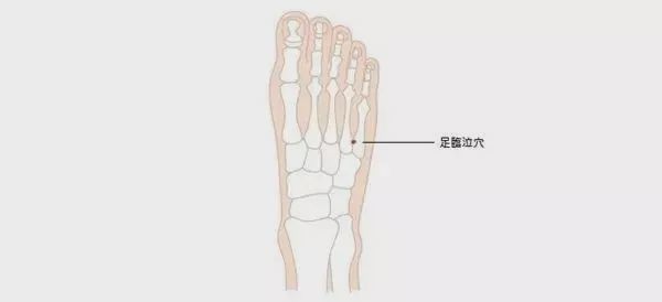 每日一穴足临泣穴运化风气冷降水湿