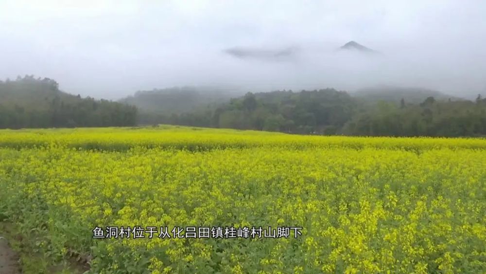 自驾车:导航搜索"从化区吕田镇鱼洞村" 公交交通