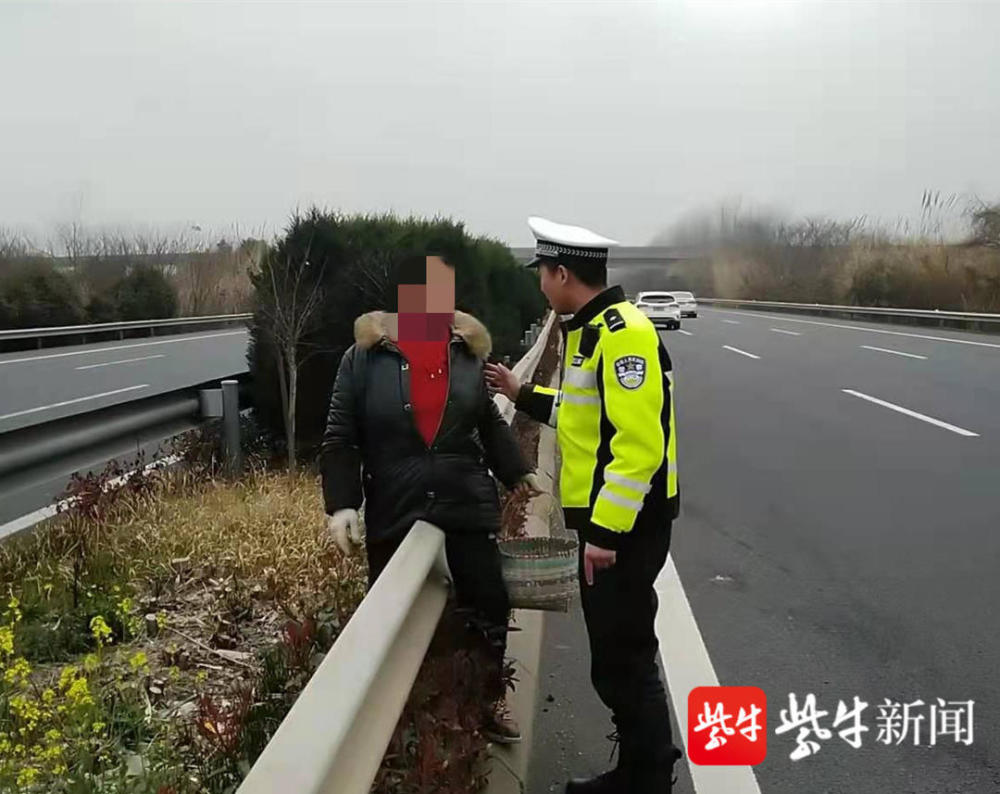惊险!大妈挖野菜走"捷径",跨越护栏欲横穿高速