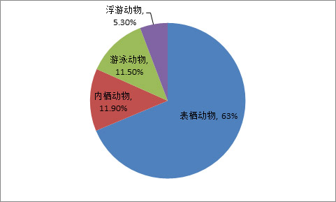 海洋生物是从什么时候开始"楼上楼下"分层生活的?