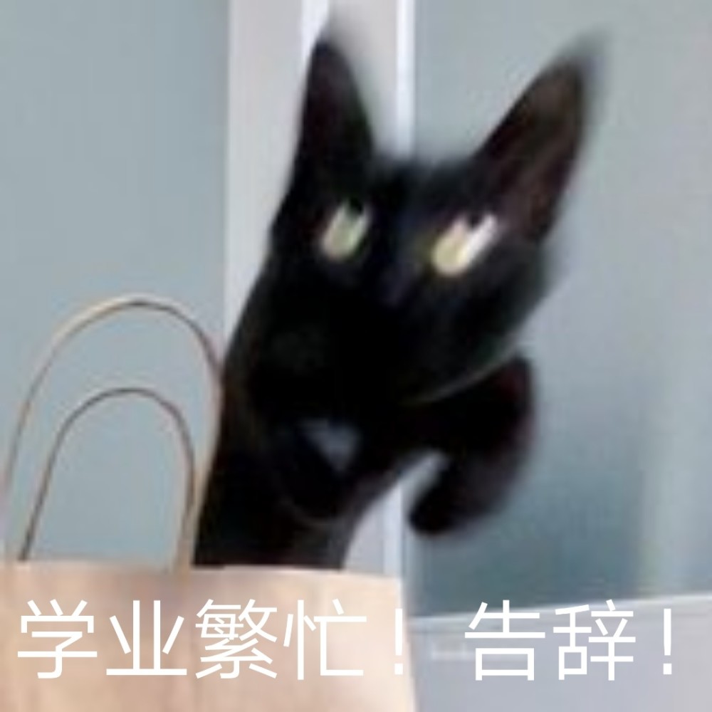 超可爱的小黑猫～沙雕表情包