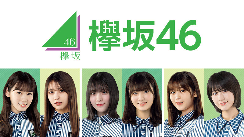 樱坂46这个名字的由来以及为什么从榉坂46改名呢