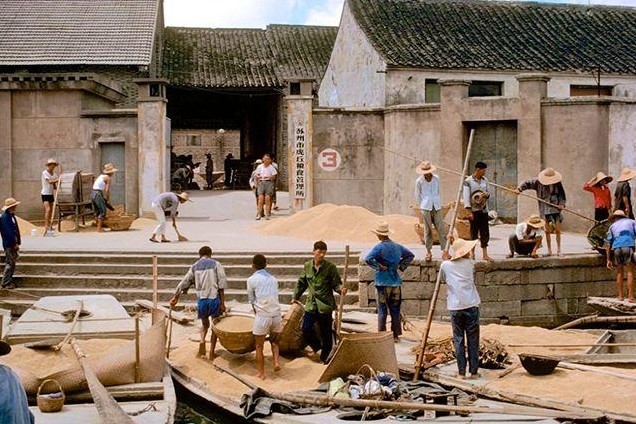 在农村,80年代以前出生的人交了近30年的公粮,他们现在老了!