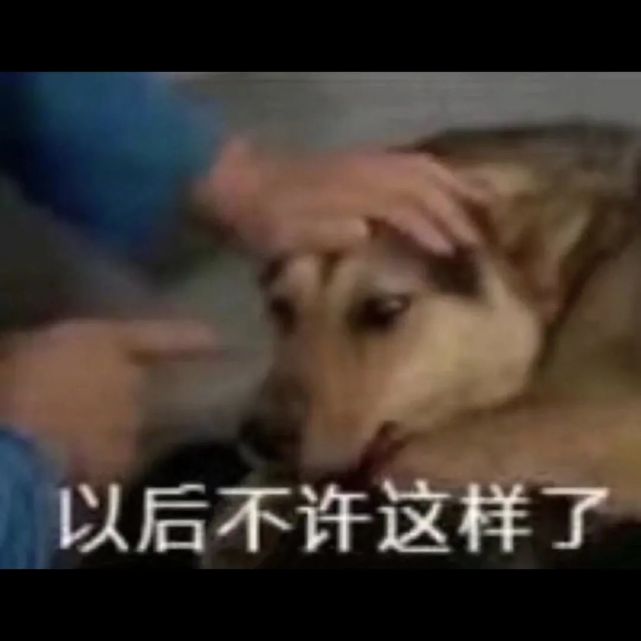 沙雕表情包:年度寡王,谢谢大家