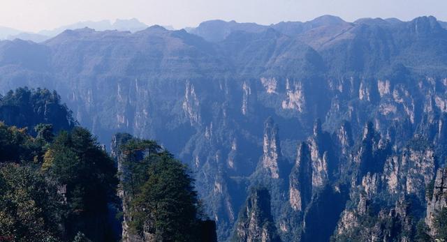 六安金安区gdp_六安金安区小学(3)