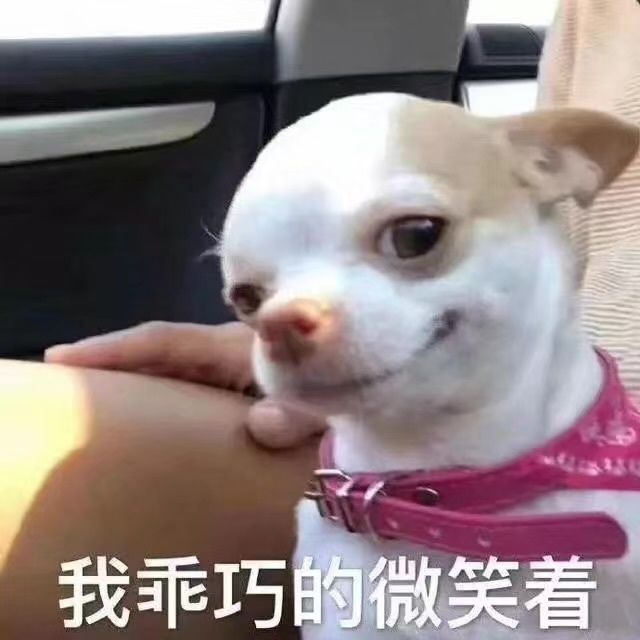 每日欢乐 那些傻不拉几的的表情包