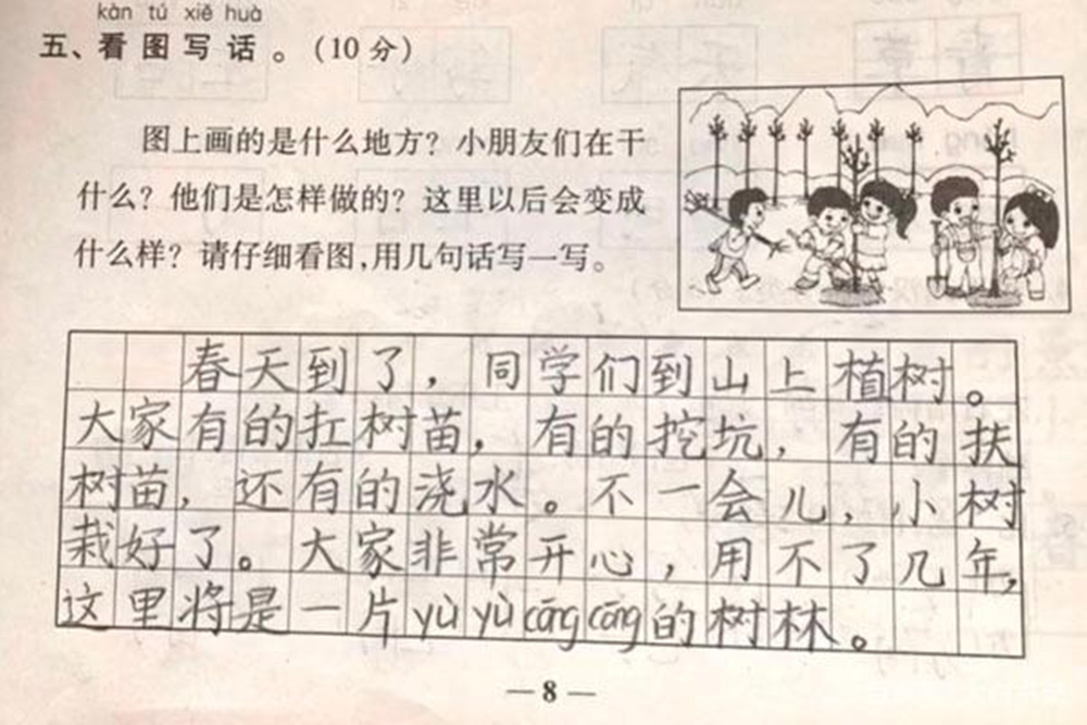 小学生的看图写话,"学霸"果然不一般,网友:印刷的答案