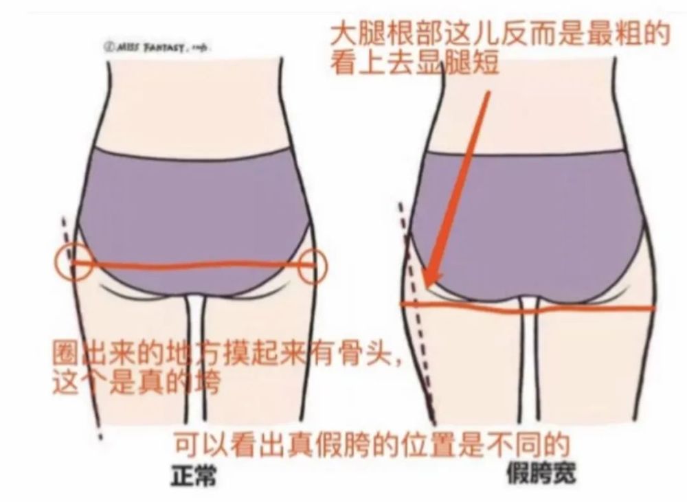 真胯宽的胯的 位置在腰那里, 假胯宽的胯位置在 大腿根部