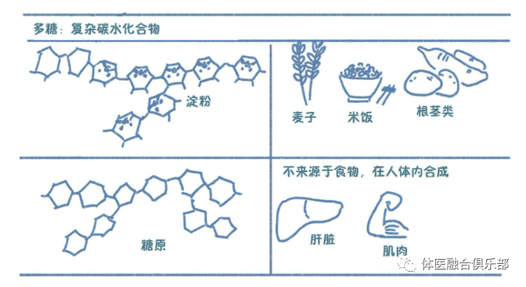 碳水化合物充满争议的营养素