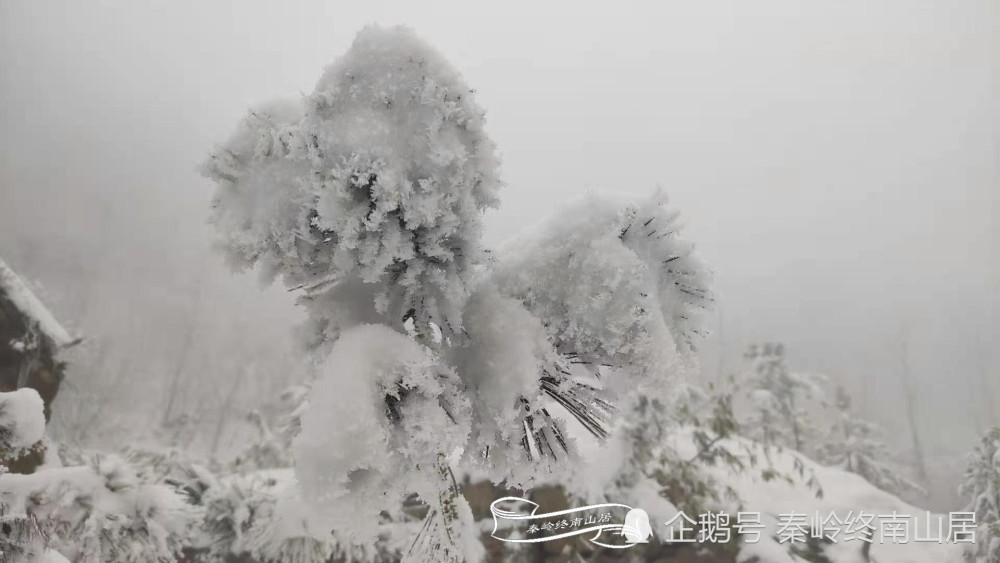 终南山雪景犹如仙境拜访住山洞的终南隐士谁知山洞竟然变成了这个样子