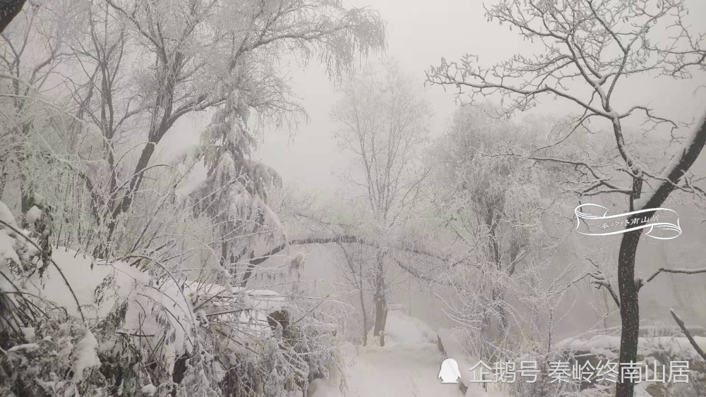 终南山雪景犹如仙境,拜访住山洞的终南隐士,谁知山洞竟然变成了这个