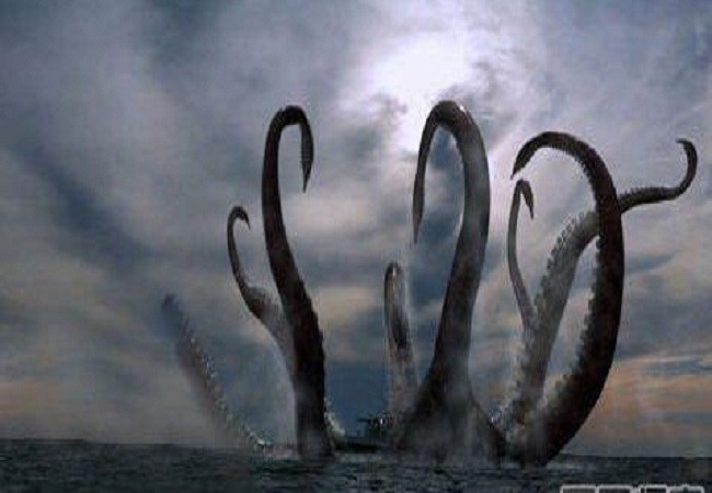 而且章鱼性情温和,不太可能袭击人类的船只.