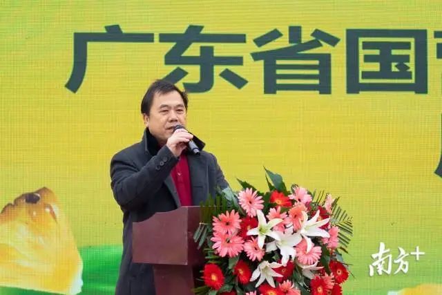 "广东菠萝广场"落户西安,预计今年有3万吨菠萝从这里销往全国