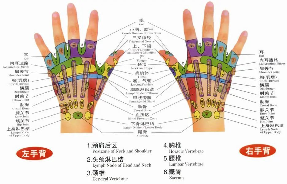 手掌中八卦穴位来取穴点按,通过对相关穴位的外部刺激以达到疏通经络