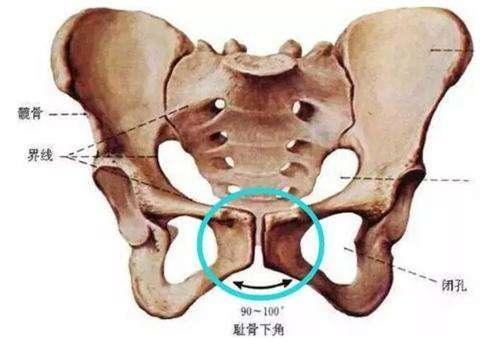 "耻骨越痛越好生?耻骨痛的原因和拯救方法,孕妇要知道