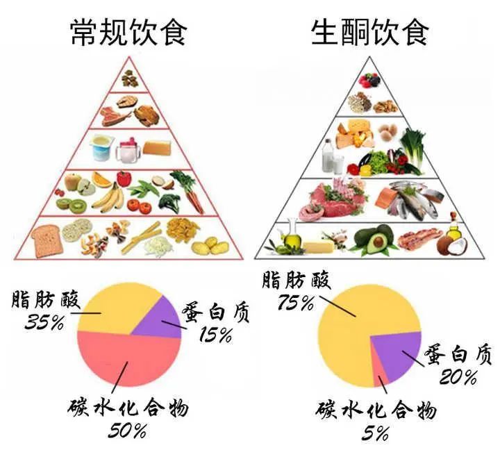 什么叫生酮 腾讯网