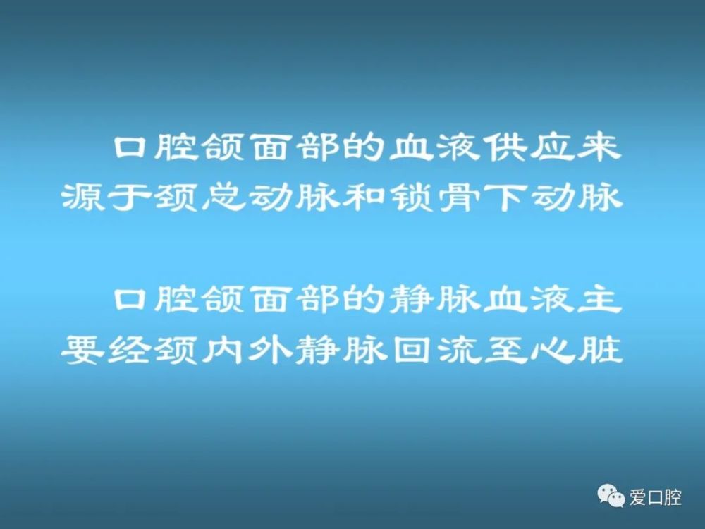 口腔局部解剖学之血管